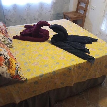 Apartamento Maite 瓜尔达马尔·德尔·塞古拉 客房 照片